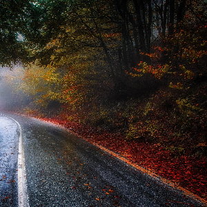Rainy road